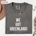We Got Greenland Shirt, Sarcastic Political Humor Tee, Funny Quote Tshirt, Mens Gag Gift